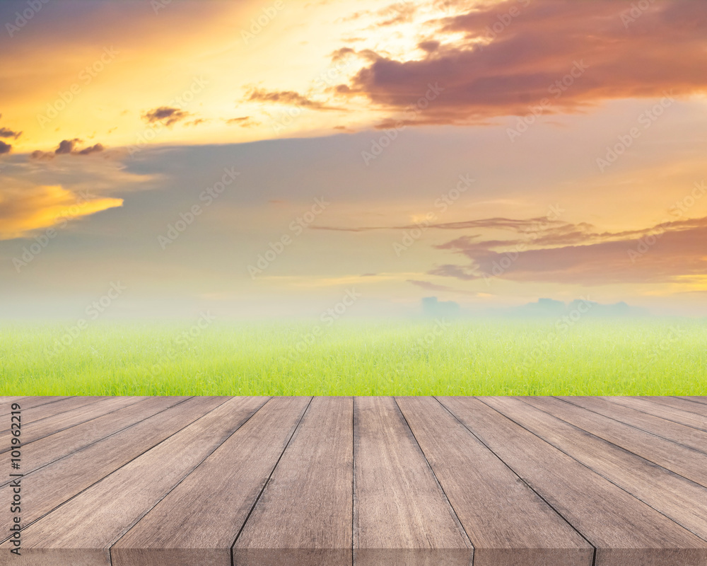 Wood plank and natural grass field with sky background