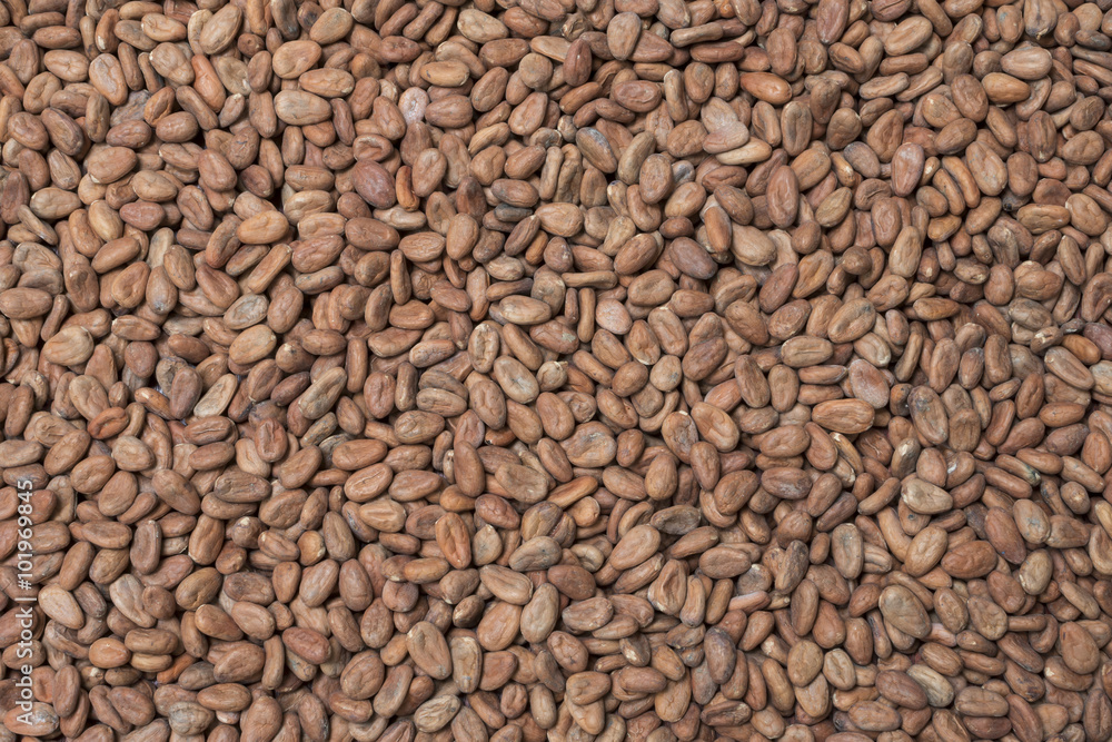 Raw cacao background Raw cacao background