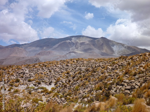 slopes around volcano isluga at chilean altiplano photo