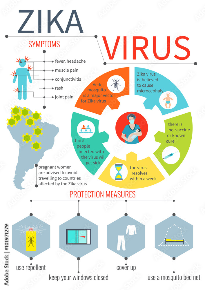 Zika virus infographic elements - prevention, transmission, vaccine ...