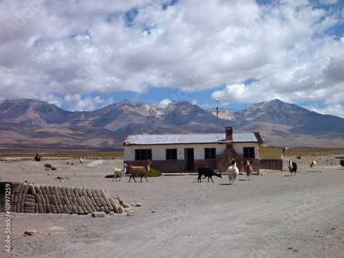 house in colchane at chilean border at altiplano photo