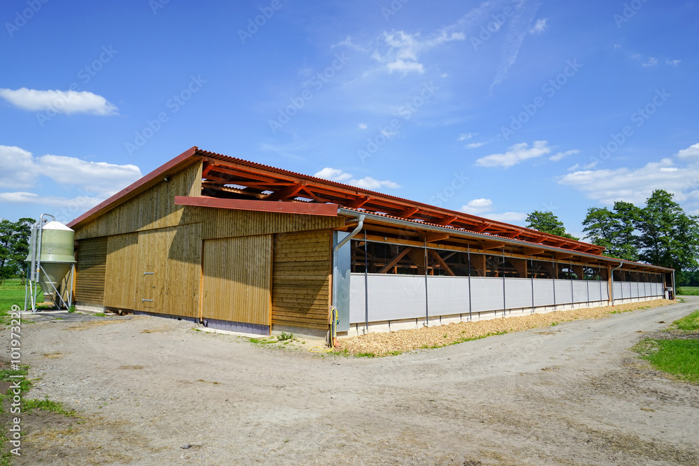Neu erbauter Rindvieh - Aussenklimastall im Sonnenschein Neu erbauter Rindvieh - Aussenklimastall im Sonnenschein