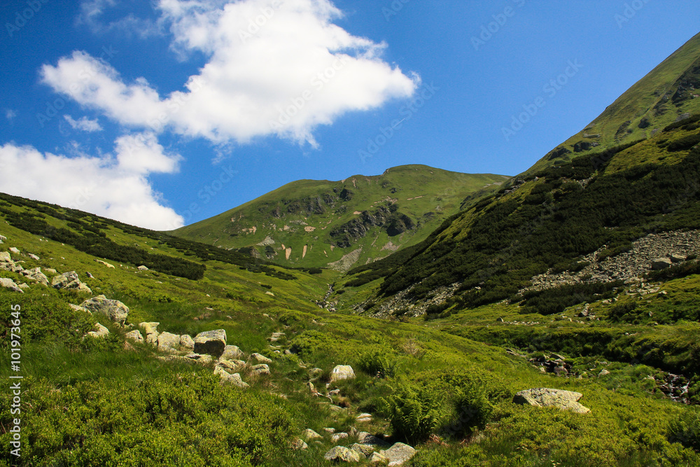 Valley in Tatra mountains Valley in Tatra mountains