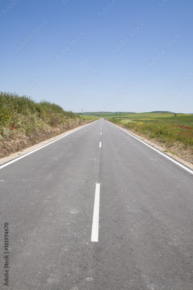 Naklejka premium straight road