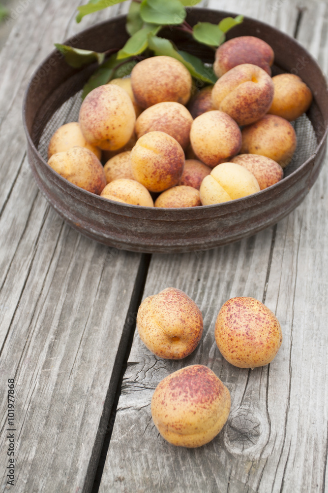A plate of ripe apricots. Fresh apricots home in old iron bowl A plate of ripe apricots. Fresh apricots home in old iron bowl