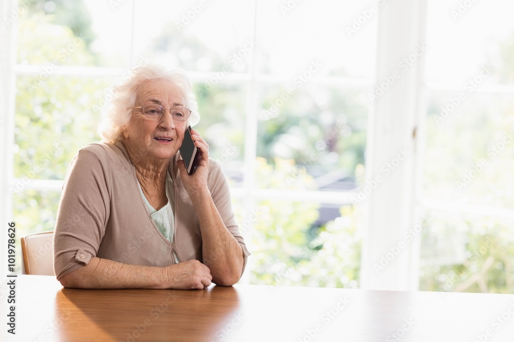 Fotografie Smiling elderly woman phone calling
