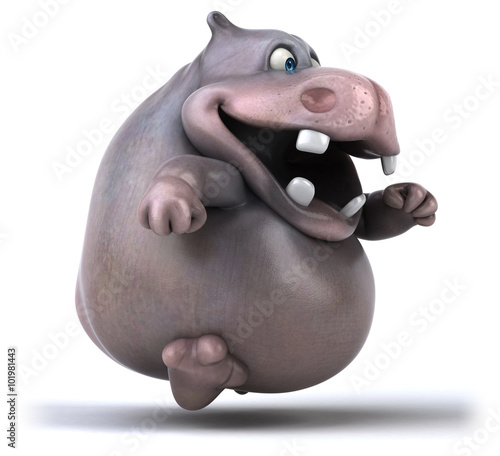 Fun hippo