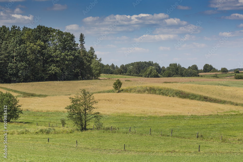 Suwalki Landscape Park, Poland.