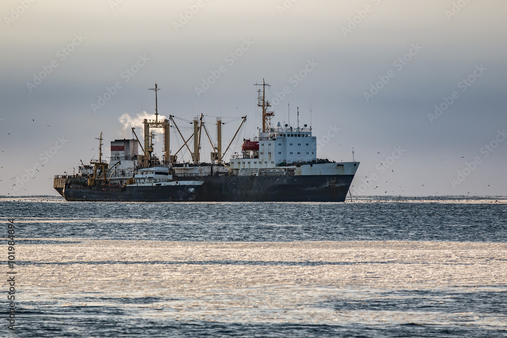 Russian fishing boat passes the fish on the fish processing base of the ice to the sea
