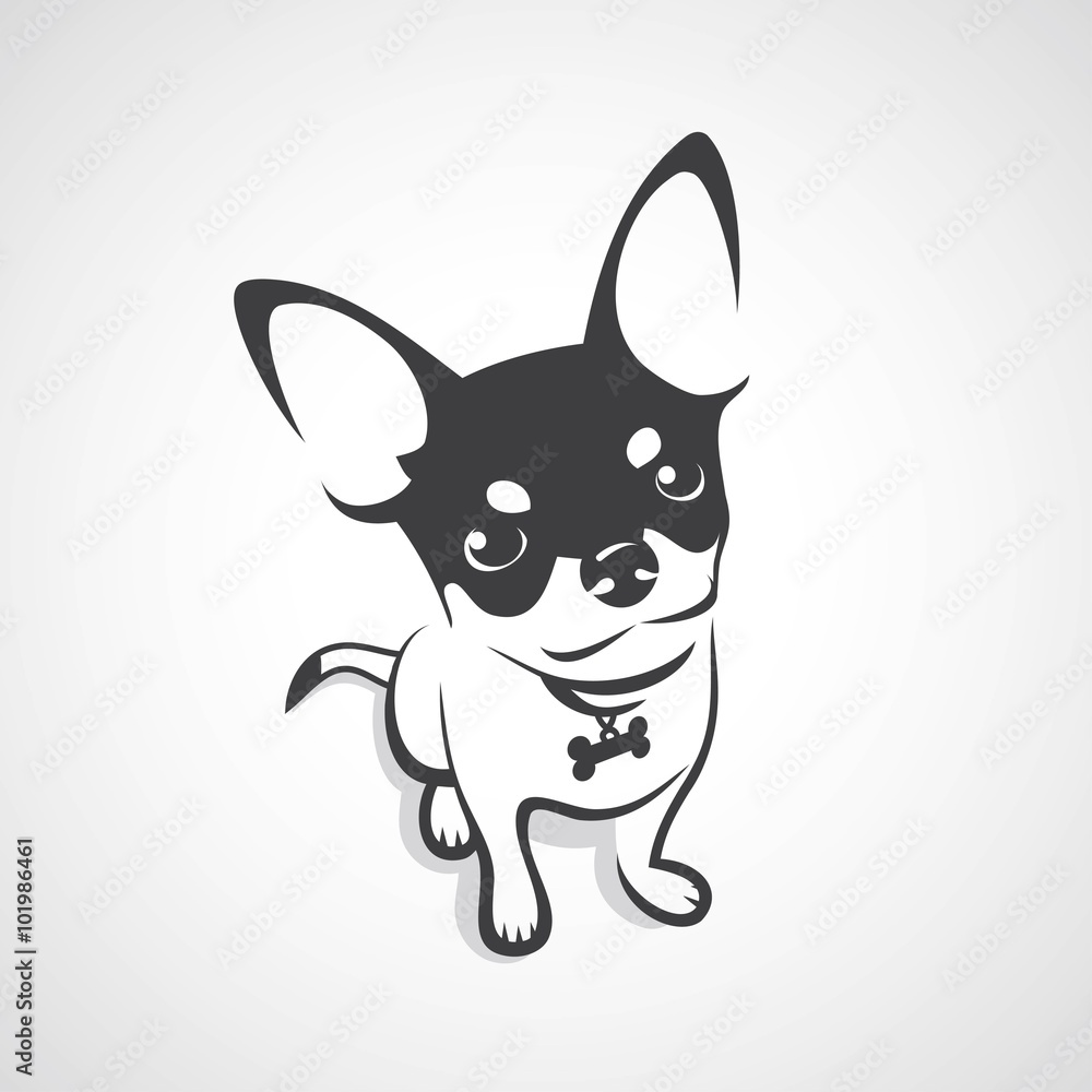 Chihuahua dog - obrazy, fototapety, plakaty 