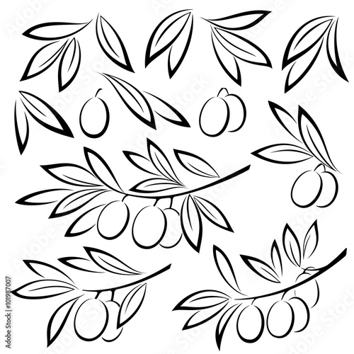 Set Olive Branches, Berries and Leaves Monochrome Black Pictograms Isolated on White Background. Vector