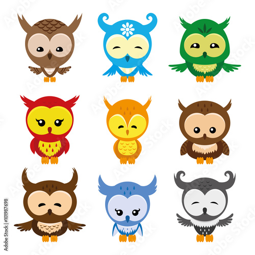 Cute colorful owls on a white background.