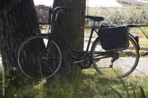 Vintage like bike along a tree trunk © fullempty