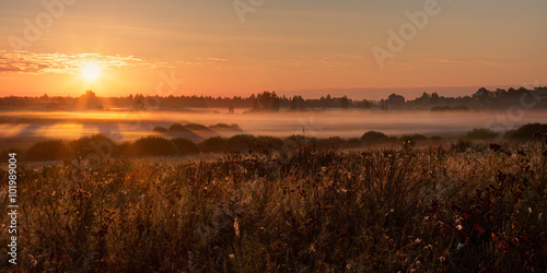 Summer sunrise over the small village and the meadow