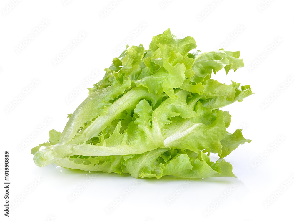 Fresh green lettuce on white background Fresh green lettuce on white background