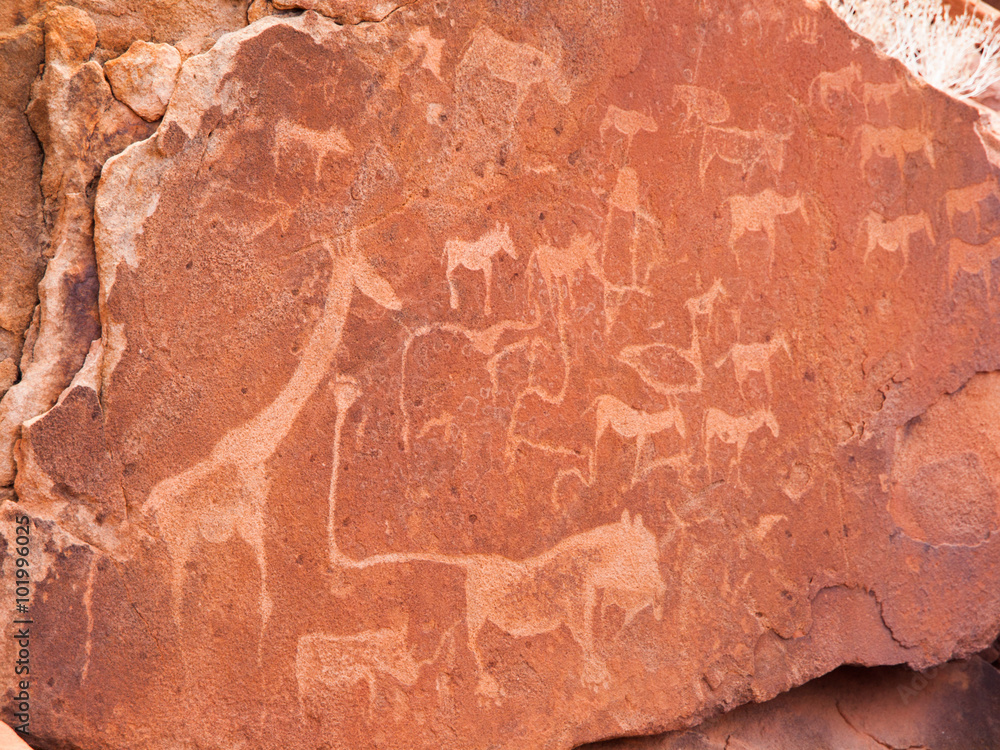 Fototapeta premium Prehistoric Bushman engravings at Twyfelfontein in Namibia