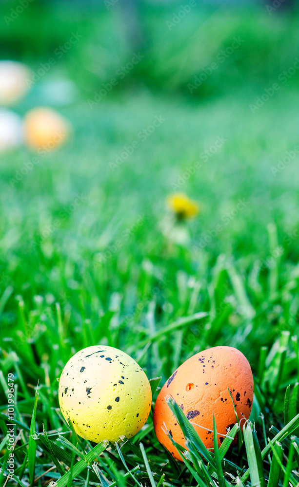 multicolored easter eggs on green grass multicolored easter eggs on green grass
