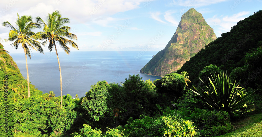 Fototapeta premium Vegetation near Piton