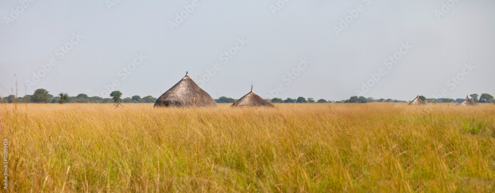 Fototapeta premium panorama łąk południowego sudanu