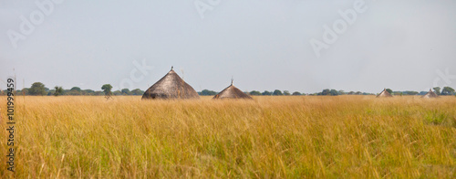 panorama of grassland of south sudan photo