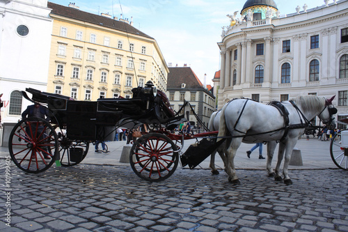 couple horses cab lane on Vienna square with cabman. photo