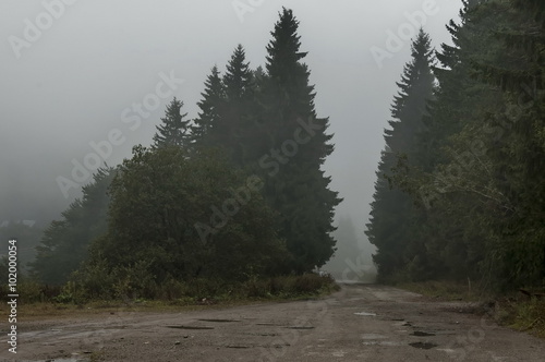 Landscape with heavy fog of Petrohan passage at Balkan mountain in rainy day, Bulgaria photo