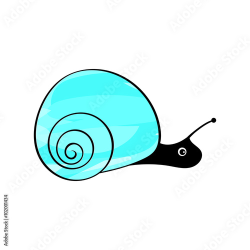 Funny snail animals mollusks