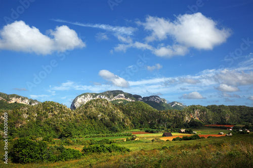 Cuba  Vi  ales  Landscape