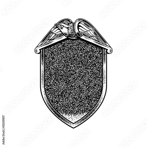 classic eagle badge vector vintage illustration