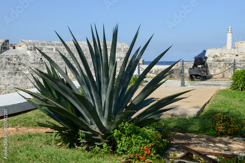 Castle San Salvador de la Punta at Havana © fotoember