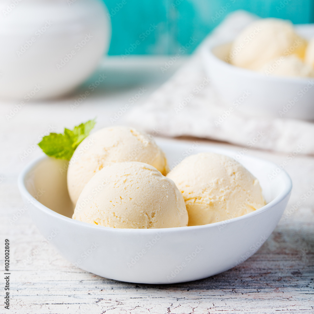 Vanilla Ice Cream with Mint in bowl Homemade Organic product Vanilla Ice Cream with Mint in bowl Homemade Organic product