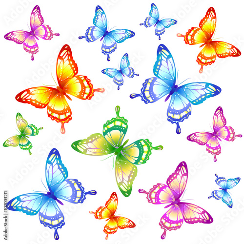 butterflies design