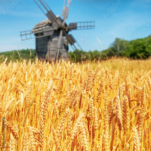 Mill on the wheat field