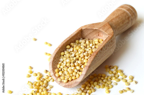 Millet in scoop on light background
