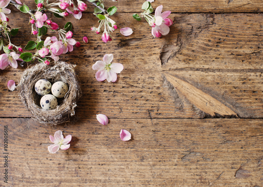egg in nest with pink flowers - obrazy, fototapety, plakaty 