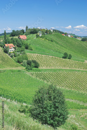 Steirische Toskana genanntes Weinanbaugebiet in der Steiermark nahe Leutschach,Österreich