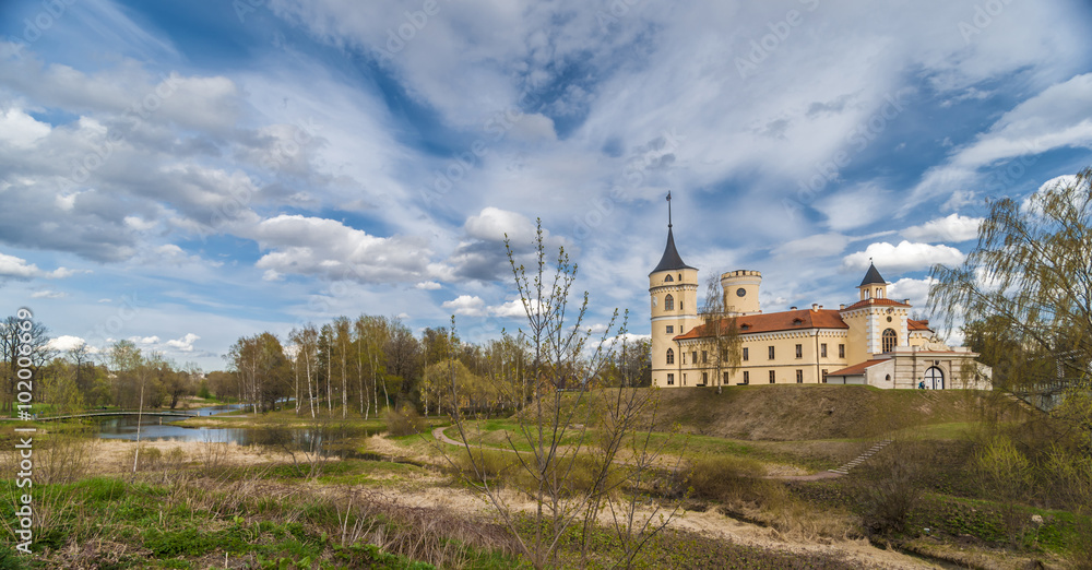 Landscape with the castle