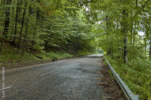 Picturesque road at Balkan mountain in rainy day, Petrohan, Bulgaria