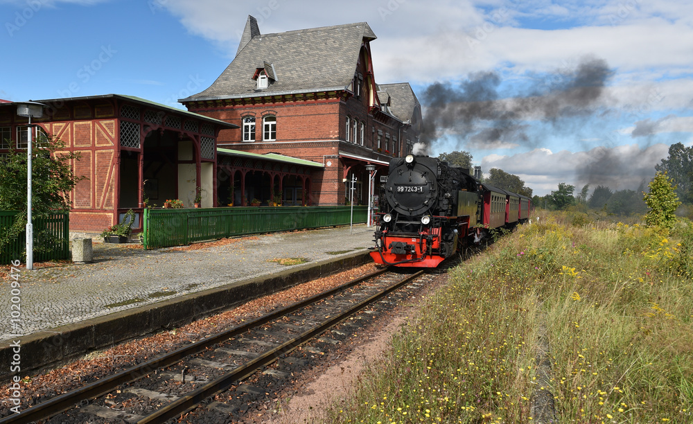Fototapeta premium Selketalbahn im Herbst