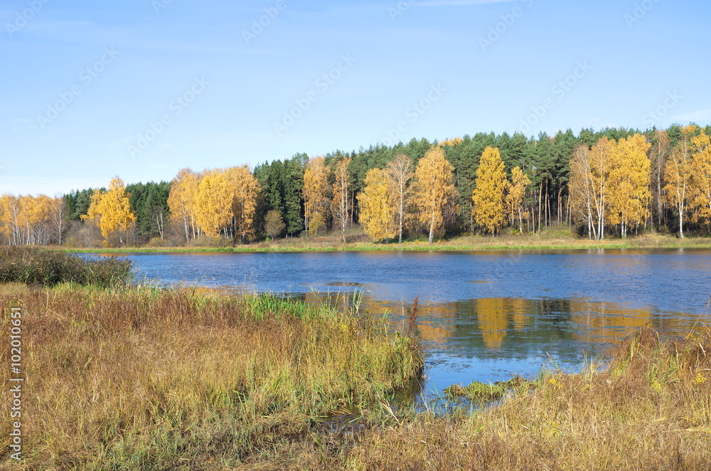 Autumn landscape with river