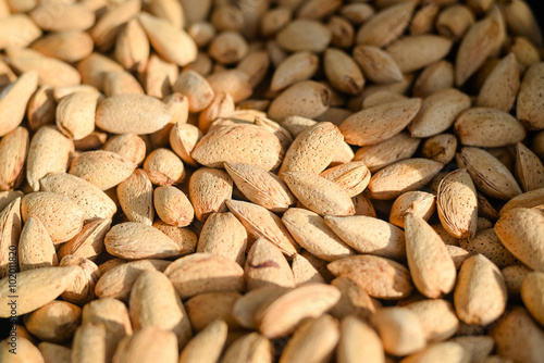 almond nut, kernel background