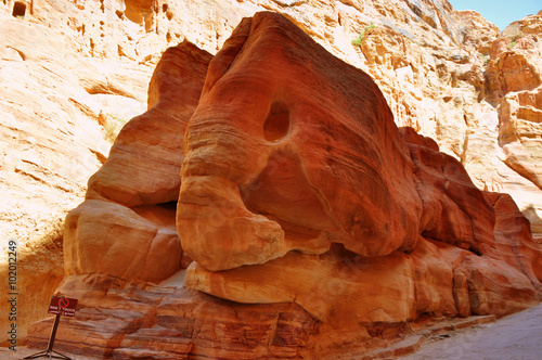Foto erodierter Sandstein in der Form eines Elefanten im Siq von Petra