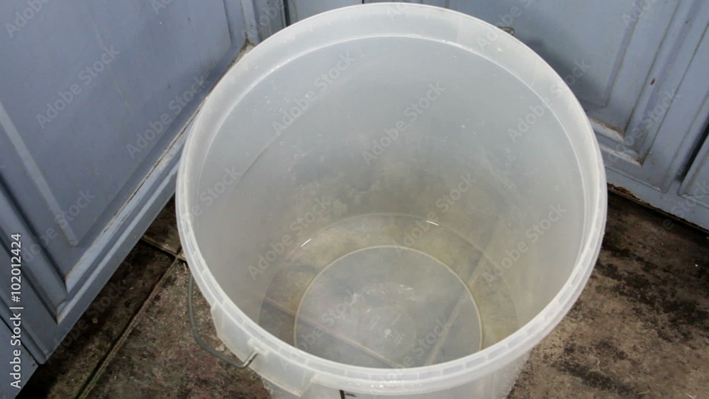 Pouring the syruplike grape juice concentrate of a homebrew wine kit into a sterilised plastic