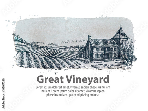 vineyard or a farm of hand-drawn sketch. vector illustration