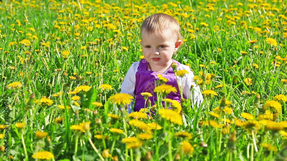 Cute toddler girl playing with dandelions on meadow at sunny day