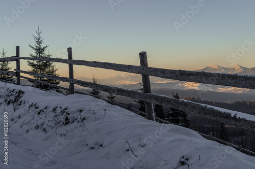 Winter Carpathian mountains with hills, snowy forest and clouds in the sky © Olhapankiv