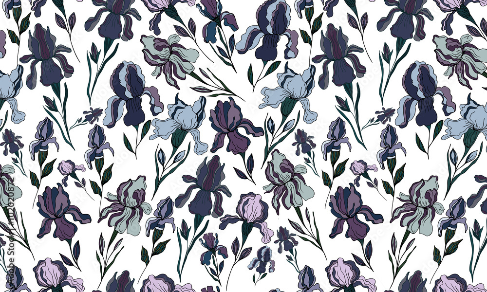 Iris flower.Floral pattern Iris flower.Floral pattern