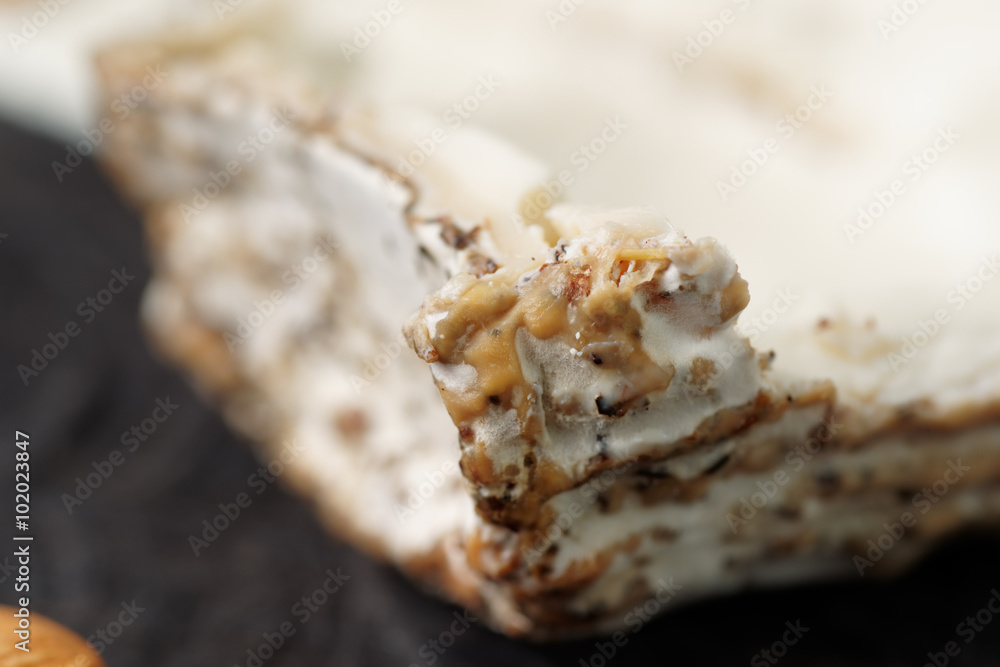 Goat cheese with mold, crust close-up Goat cheese with mold, crust close-up