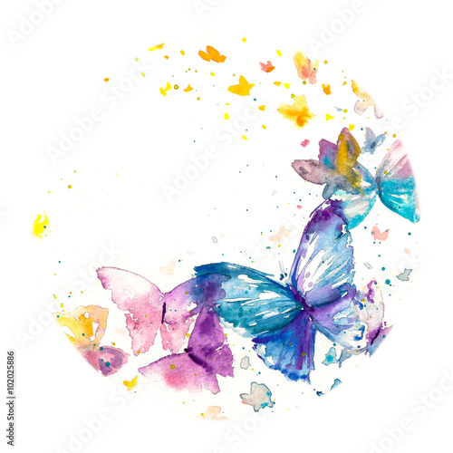 Photography Beautiful watercolor butterfly on white paper background.