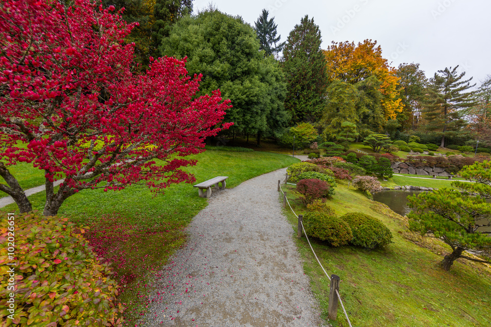 Foliage Foliage